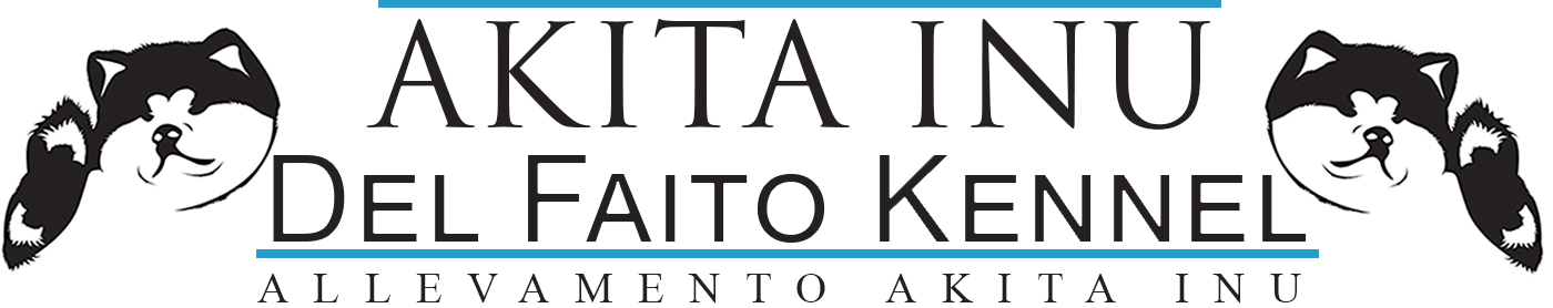 Akita Inu Del Faito