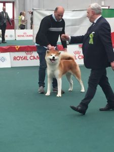 Raduno Reggio Emilia