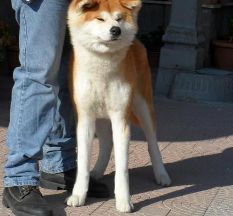 yuma