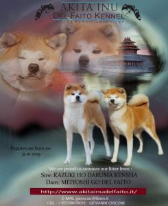 20190427_203552